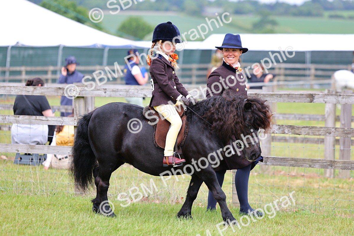 SBM_08063 - Class 42-43 - LIHS BSPS Heritage Working Sports Pony