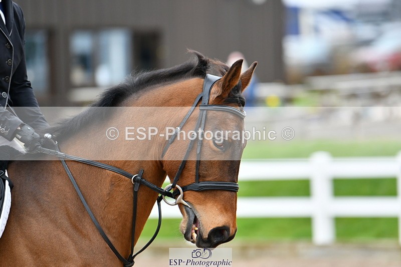 240316A-121201-03382 - Cls 21 95cm National Amateur Quali