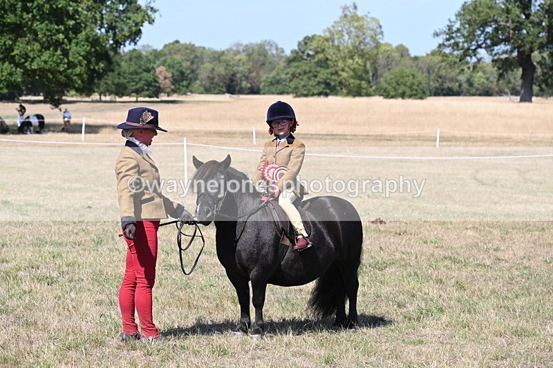 WJ6_9272 - Championship Classes 33-38