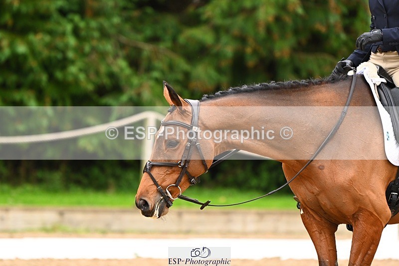 231020-153953-11909 - 214-LIGHT.TOUCH-Liv.Irby-DR