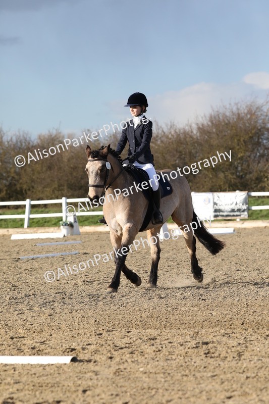 20260314-5922 - DR9 - PYO