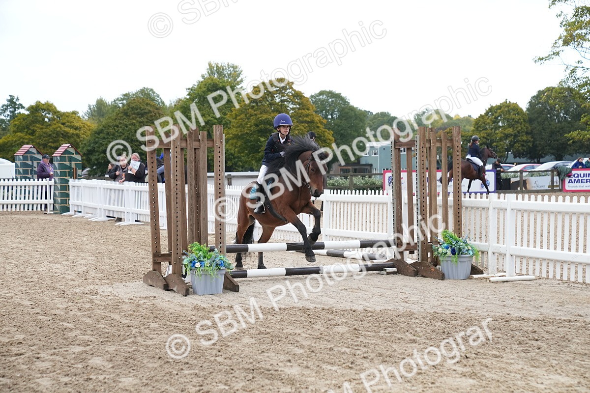 SBM_00028 - J53 - Clear Round 40cm