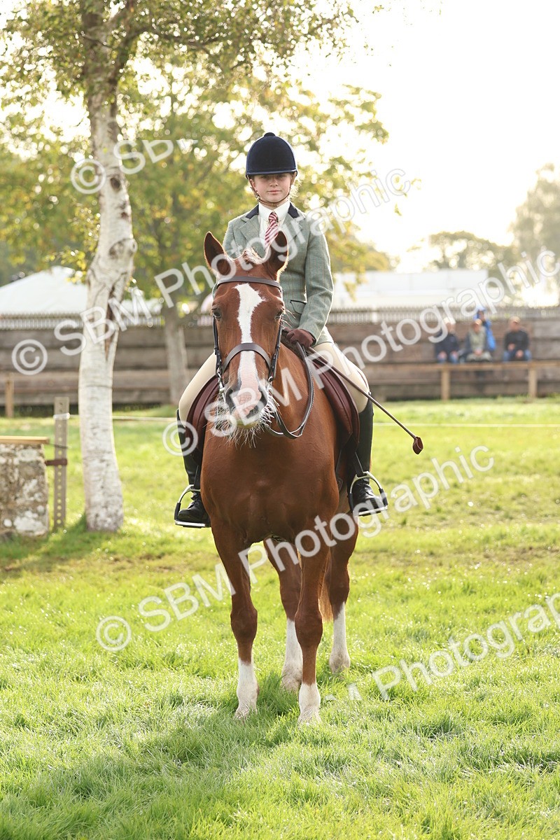 SBM_56623 - S40 - Starters Ridden Showing