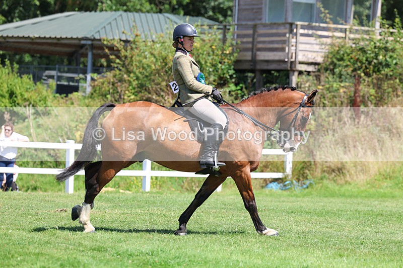 3E7A9160 - Working Hunter Championship