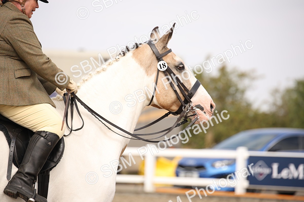 SBM_12913 - Class 406a - Working Veteran 50cm (15-19)