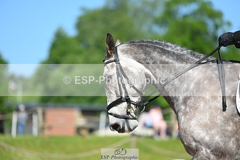 230526-102456-05607 - 461-SAUNDERSCOURT_AMBASSADOR-Adam_Trew-DR