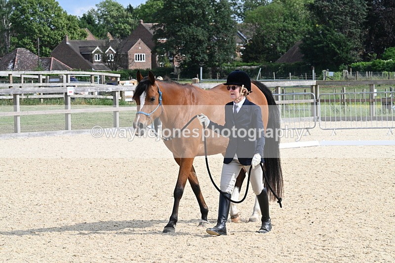 WJ7_8273 - Time 16:10 to 16:25