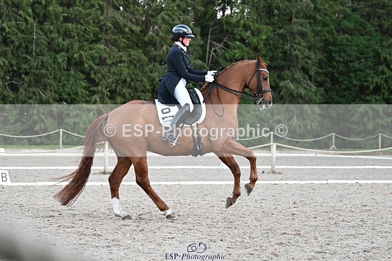 231110-164027-02722 - Cls 14 FEI Grand Prix