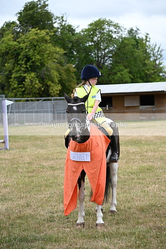 WJ6_4924 - Class 11 Fancy Dress