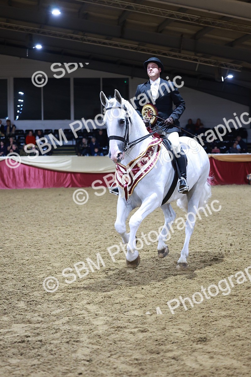 SBM_21592 - Class V - Champion of Champions