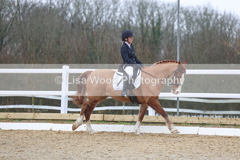 3E7A0932 - Class 5: Novice 1 2024 Section A