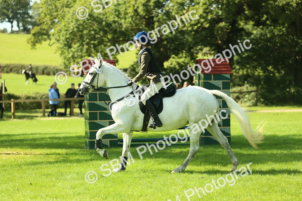 SBM_39279 - S29 - Novice & Newcomers Working Hunter Pony