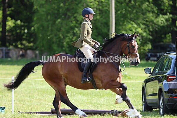 IMG_4378 - Working Hunter