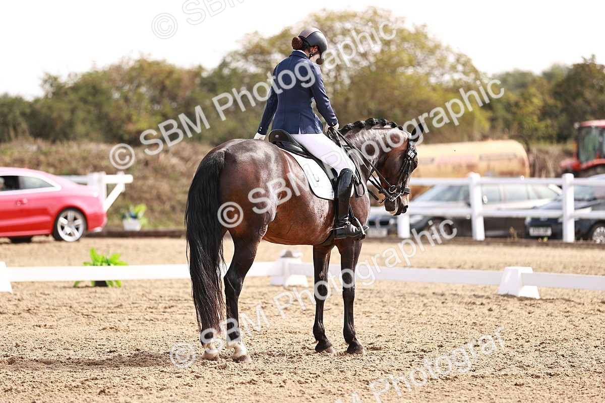 SBM_017581 - Class 11 - Advanced Medium 6
