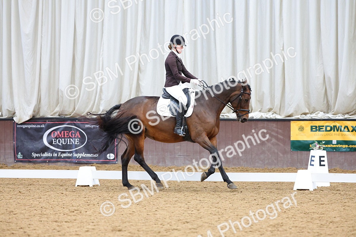 SBM_002015 - Class 5 - Novice 3