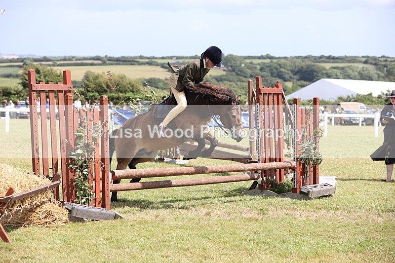 JPP_2028 - Class 19: Working Hunter 60cm