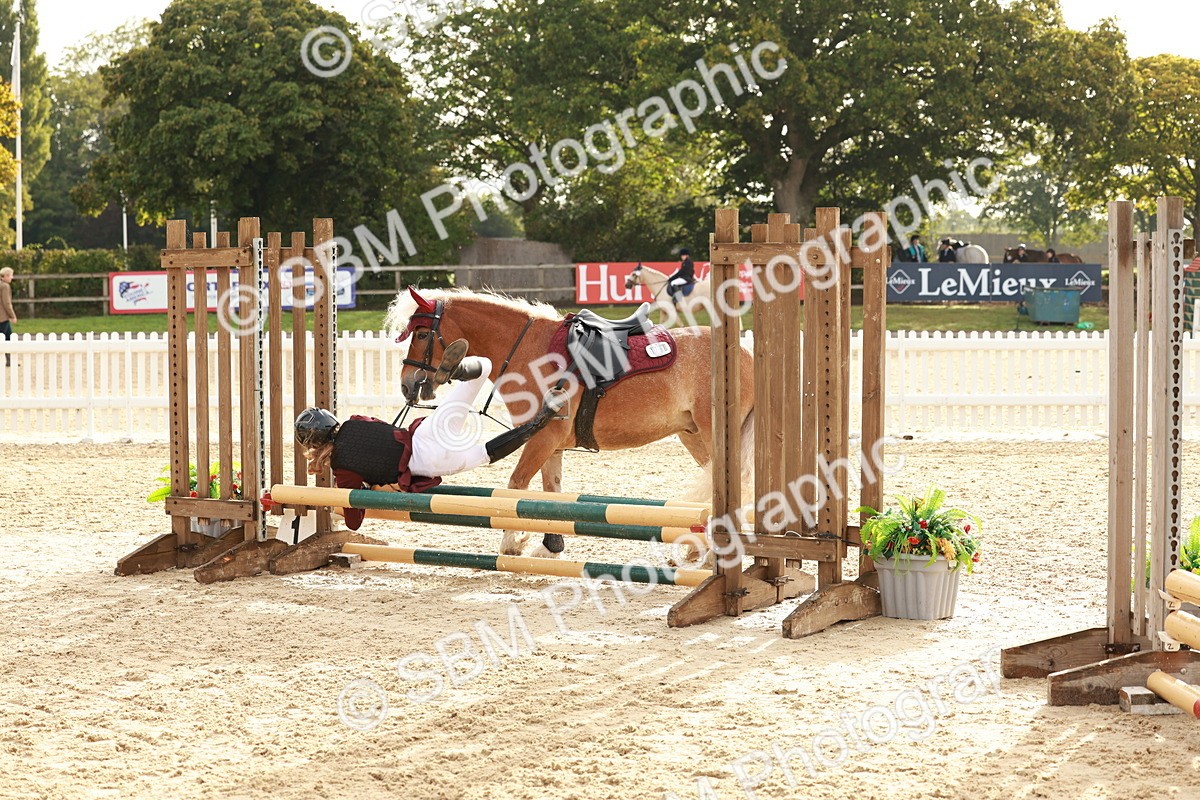 SBM_55692 - J11 - Junior Pony 50cm Championship