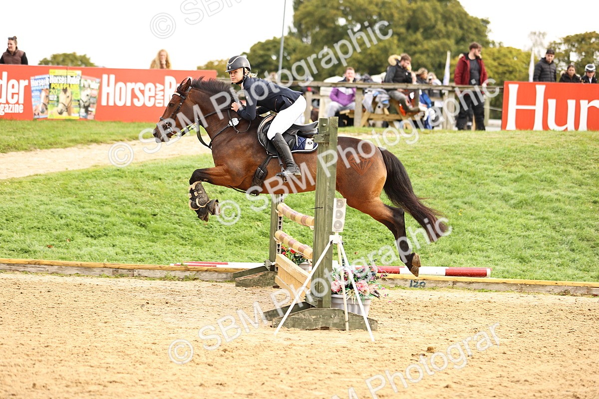 SBM_58426 - J41 - Grand Tour Horse & Pony 95cm