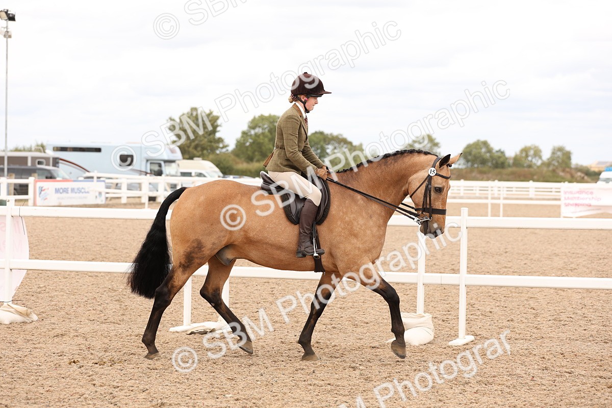 SBM_17198 - Class 213 - Ridden Hunter - Large