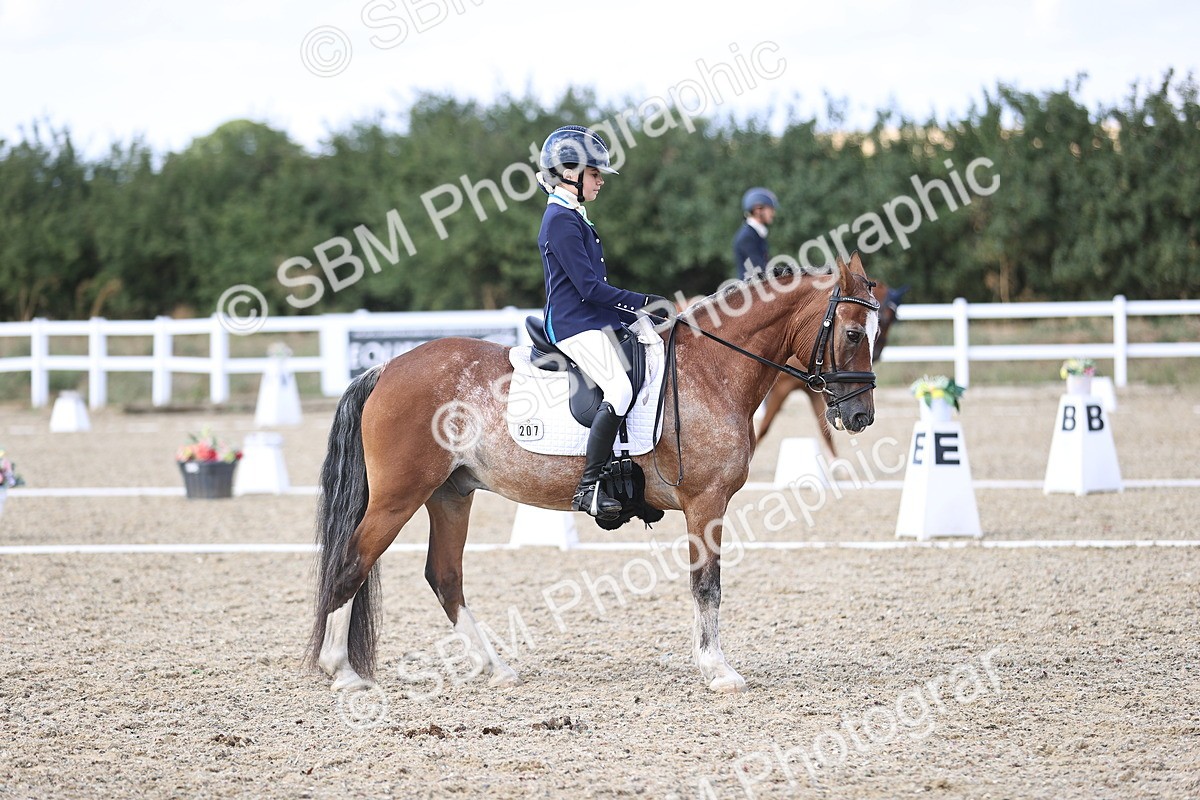 SBM_015969 - Class 5 - E5 Bronze  16.18.17.22