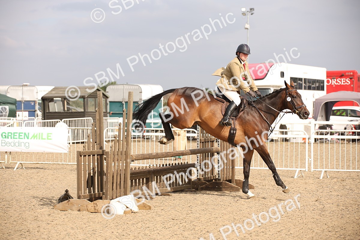 SBM_17292 - Class 410a - Wor5king Veteran 90cm (15-19)