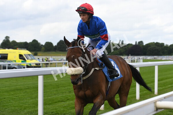 yr11062022r2-14 - Race 2 2.00pm Queen Mother's Cup