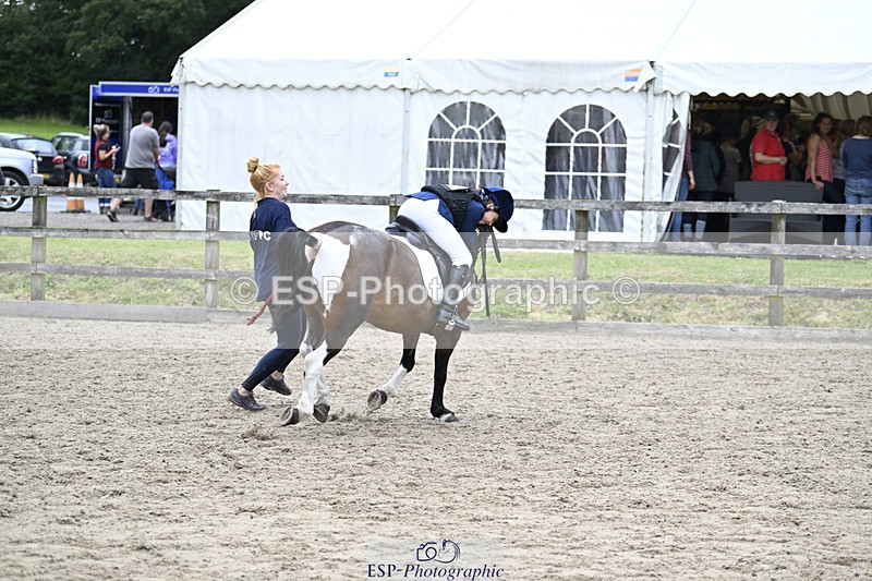 240822X-140702-08788 - 40cm LR R2 13.00 to 15.00