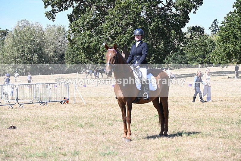 WJ6_8995 - Class 38 Ridden Riding Horse/Pony