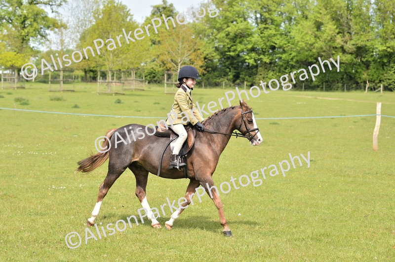 20260426-2353 - Class 20 - Beginner Working Hunter