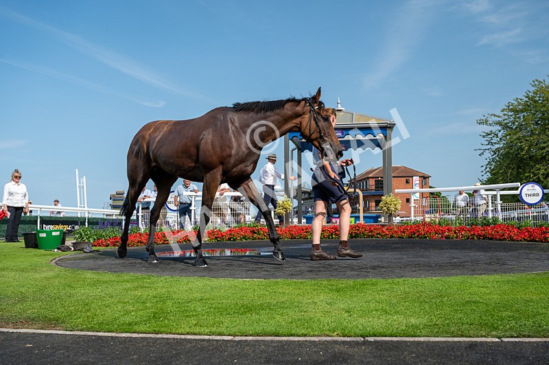 300724-Race 4-Dr Rio-0781