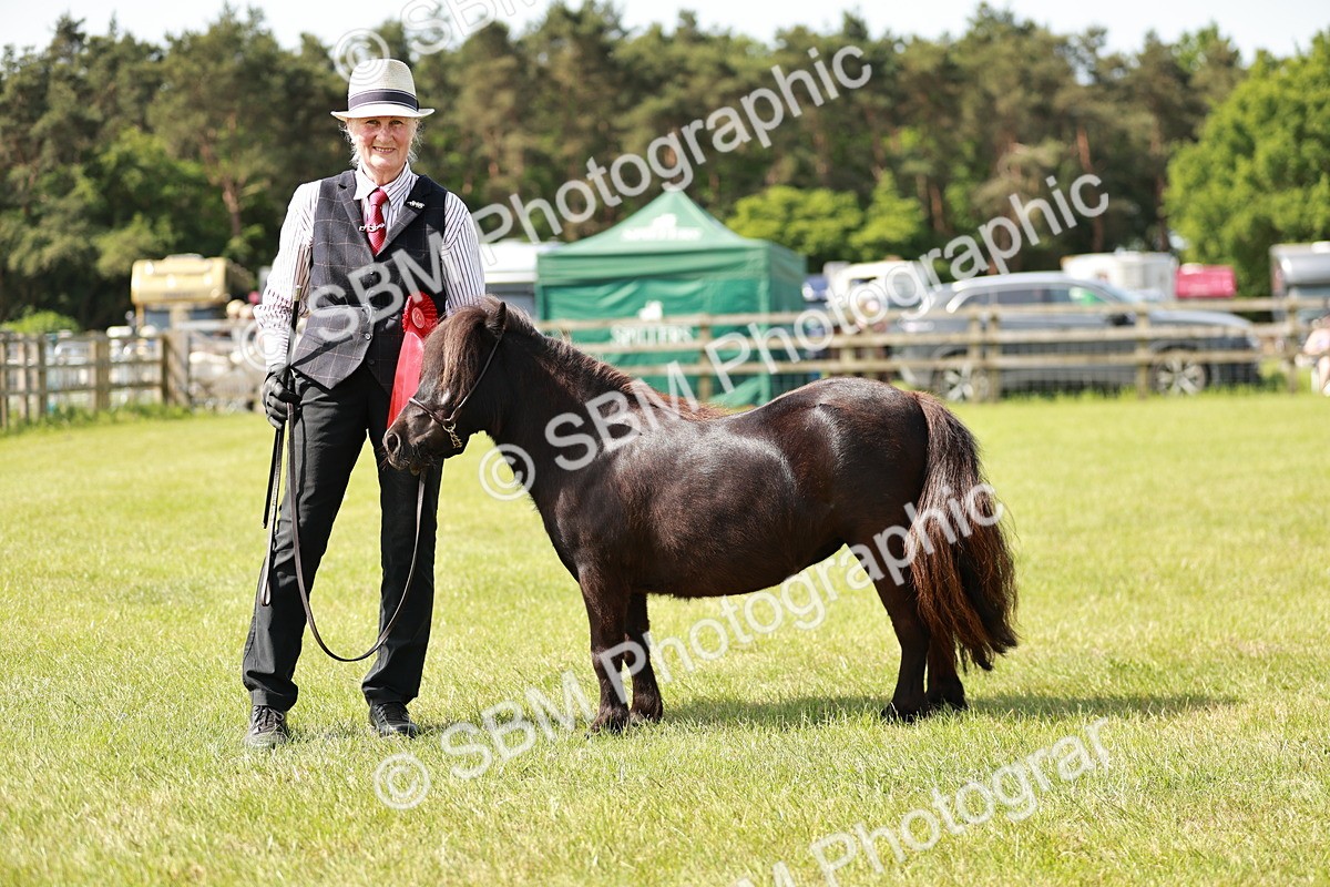 SBM_01926 - Class 14-23 - Mountain & Moorland In Hand Non Welsh