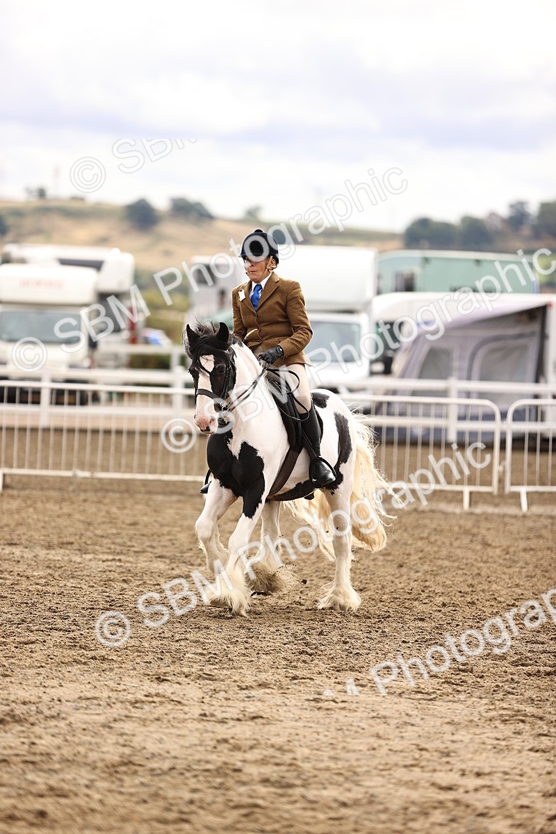 SBM_00342