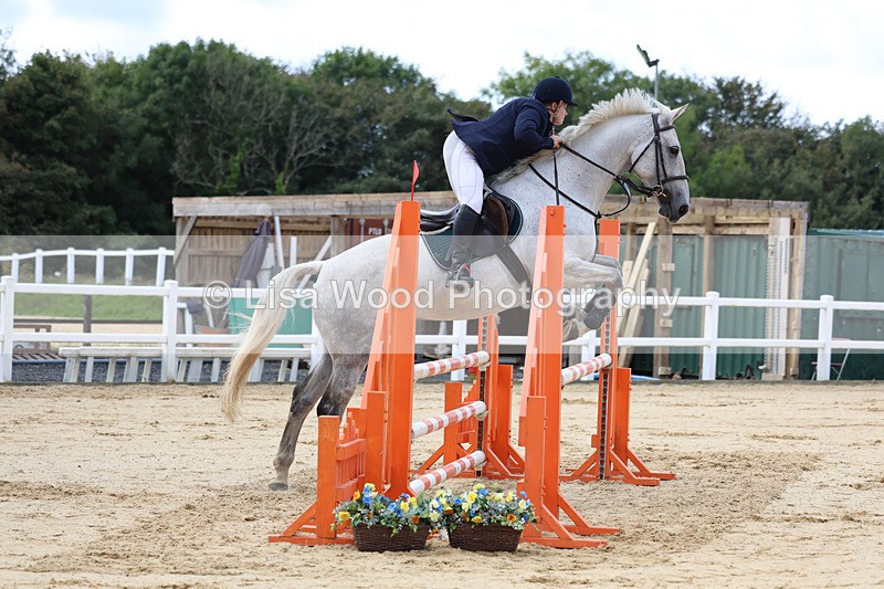 3E7A2015 - Class 4: Senior British Novice/90cm open