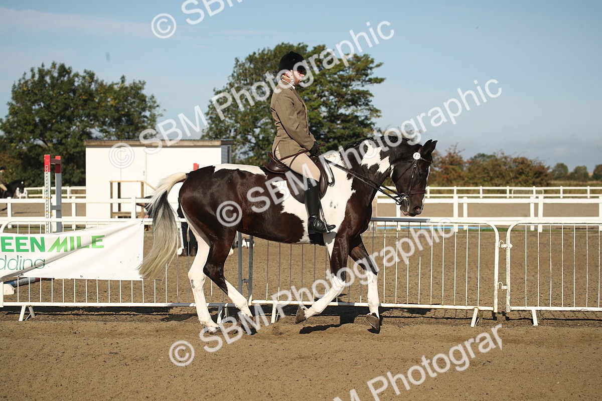 SBM_11283 - Class 501 -Riding Club Pony