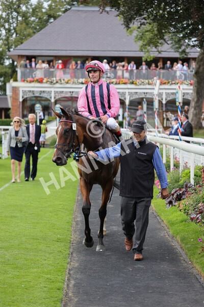 yr19082021r7-31 - Race 7 5.20pm British Stallion Studs EBF Fillies' Stakes