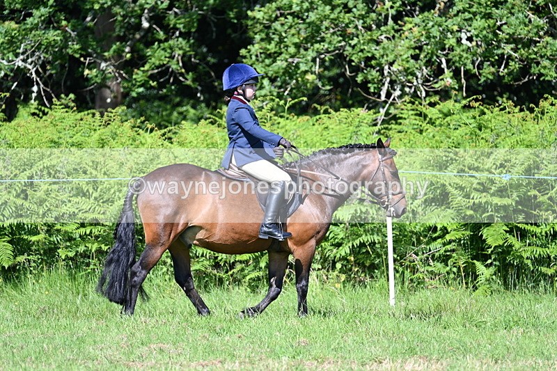 WJ7_0645 - Class 8 First Rally Pony