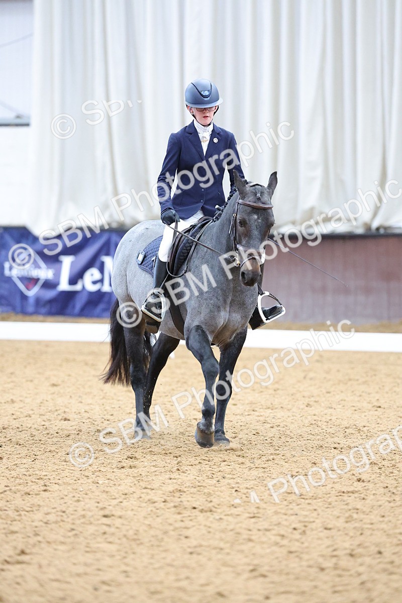 SBM_002592 - Novice