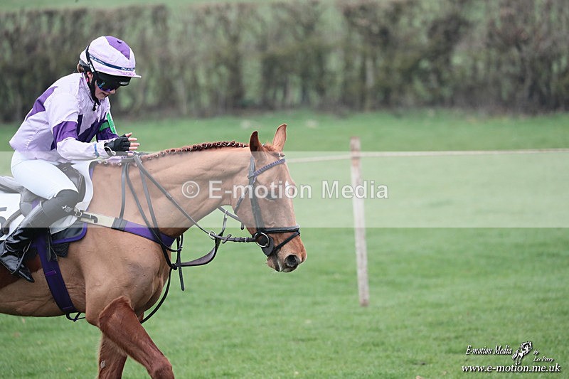 PR PtP 080326 574 - Guilsborough Pony Races 08/03/26