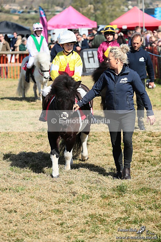 Shet 060426 113 - Shetland Pony Racing Paxford Races Easter Mon 06/04/26