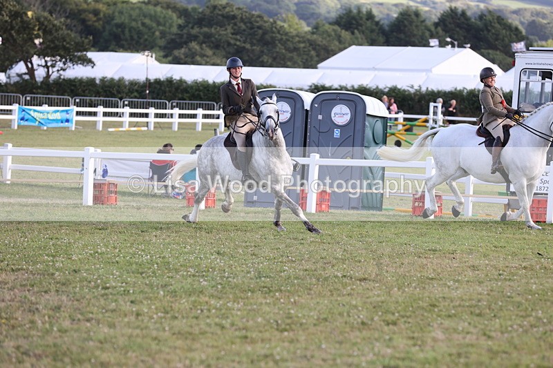 JPP_3585 - Class 22: Working Hunter 90cm