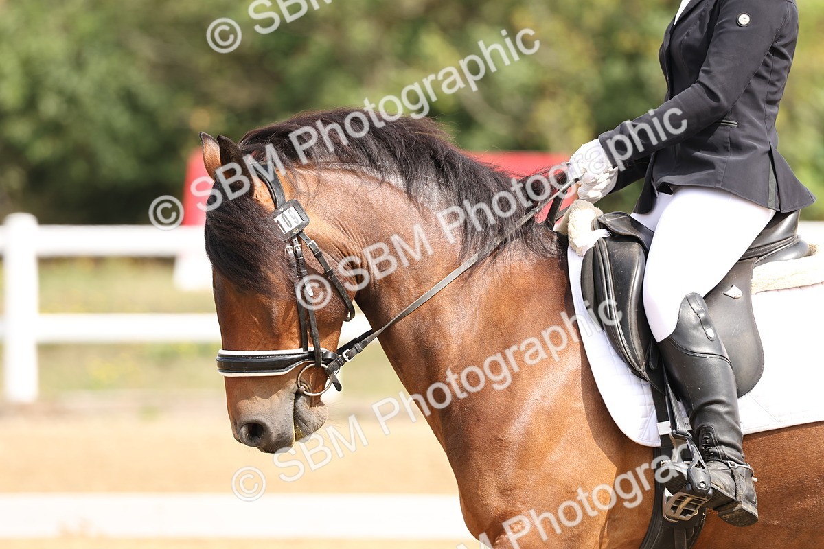 SBM_005839 - Class 6 - Novice 6 - 10.26-11.29