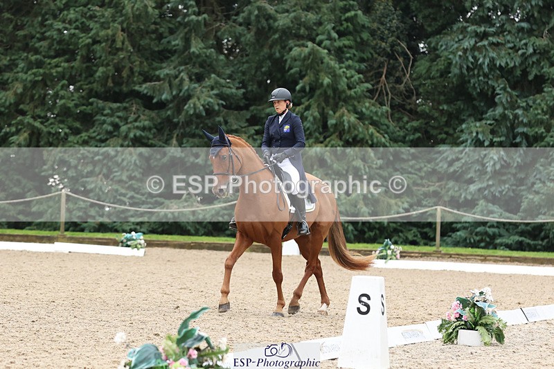 241024-141053-04016 - 239-Lissa.Green-KILLBUNNY.ANDY