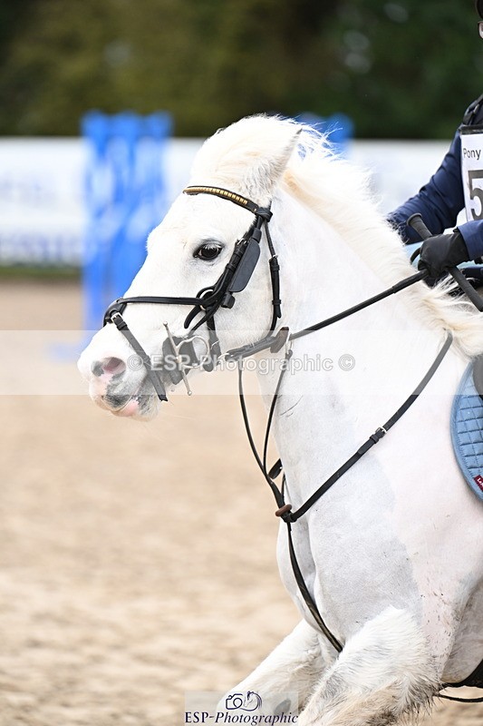 260222A-113831-00673 - 50cm All sections