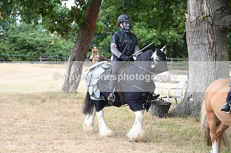 WJ6_8897 - Class 11 Fancy Dress