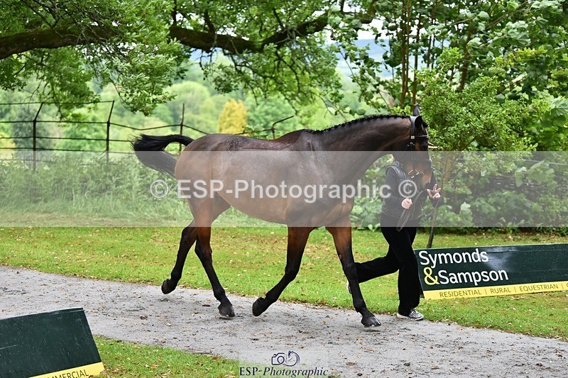 240522-155210-00542 - 164-MOONLIT_SWAYZE-Daisy_Bathe