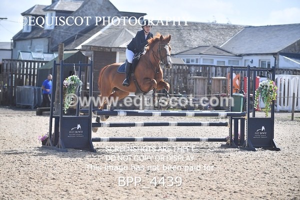 BPP_4439 - CLASS 2  Club/ Unaffiliated 80cms Open