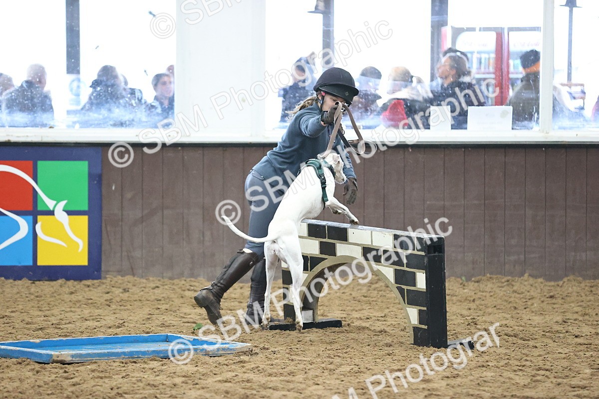 SBM_001329 - Class 3 - Horse & Hound 60cm