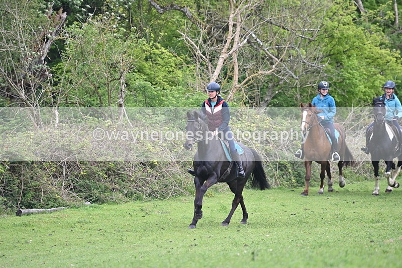 WJ6_2918 - A Camera