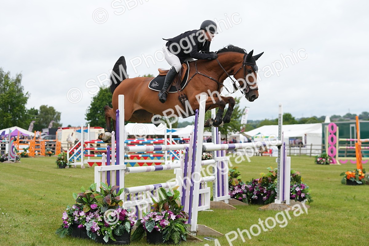 SBM_03103 - Class 201 - British Horse Feeds Speedi Beet Horse of the Year Show Grade  C