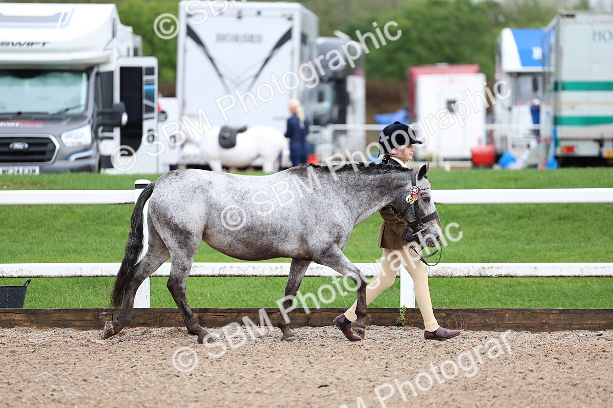 SBM_00215 - Class 13 - Young Handler